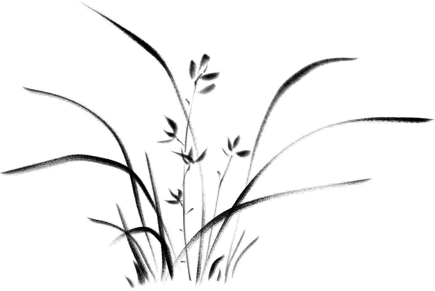 牛奶和别的饮料是不能一起喝的,牛奶和鸡蛋不能一起吃吗