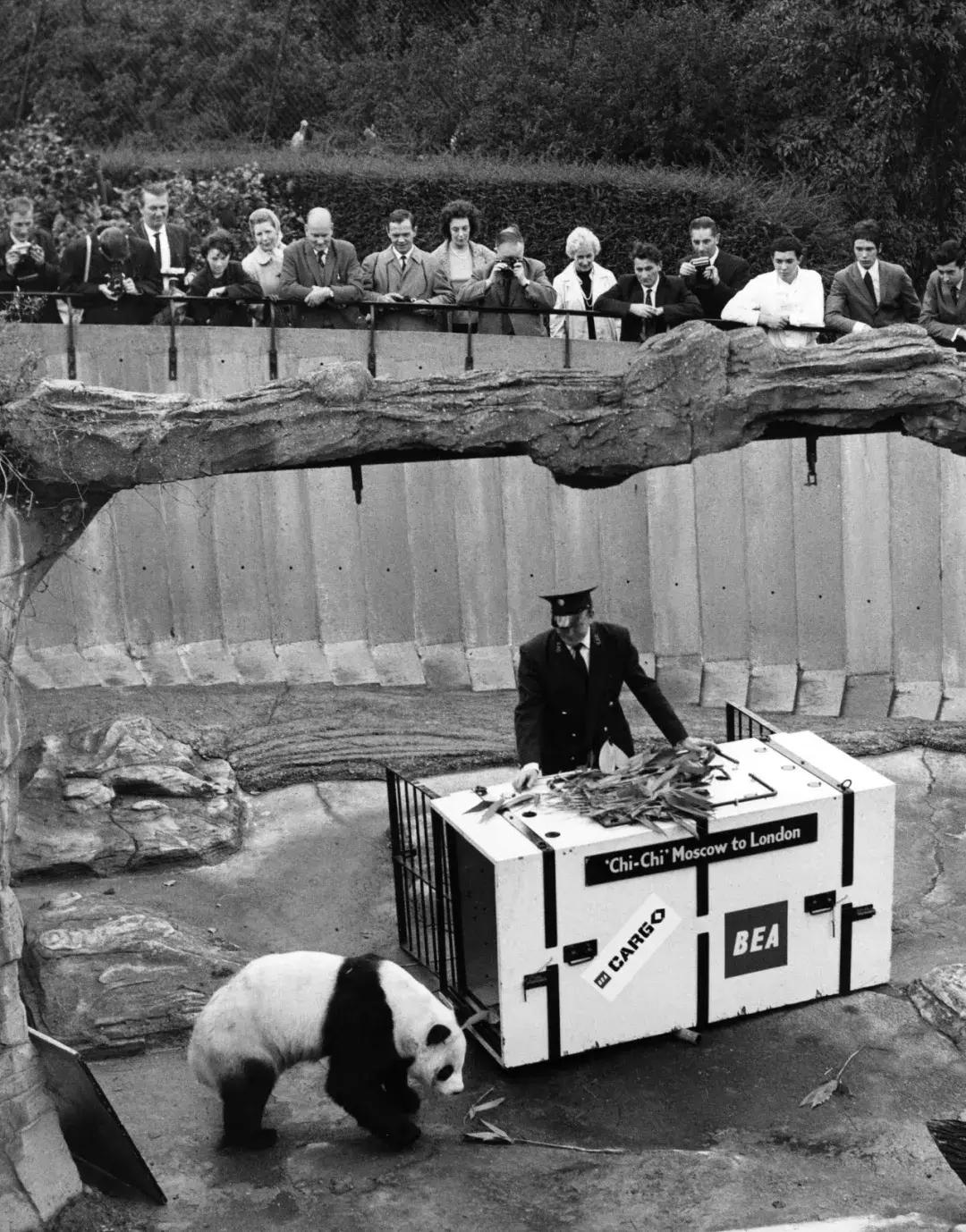 你才可爱你全家都可爱怎么回,你才可爱你全家都可爱出处