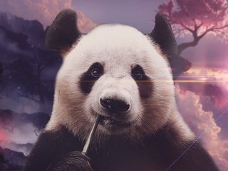 淘宝美工怎么学最快,学淘宝美工需要多少钱