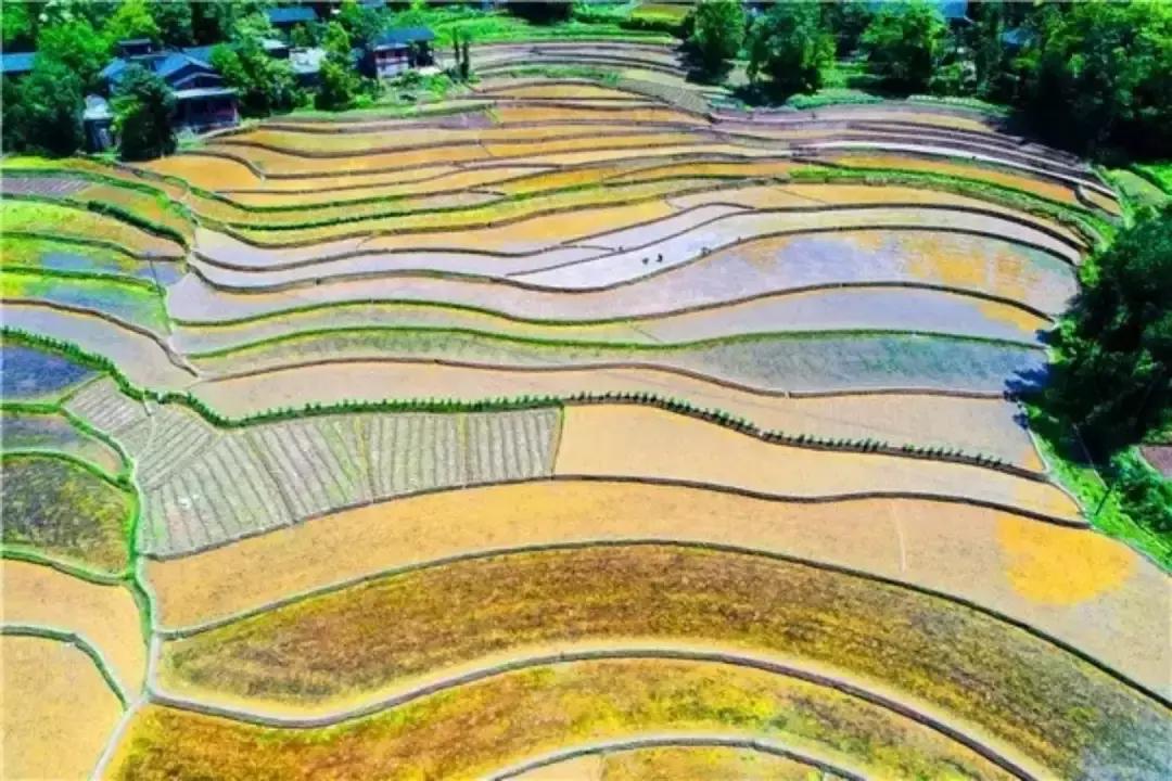 2022骞存仼鏂藉晢涓氶瓍鍔涙帓琛屾,榄呭姏鎵撳崱涔嬪煄鎭╂柦