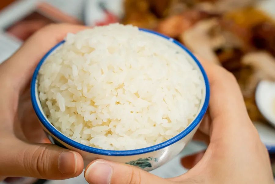 魔都粉鸭哪家好吃,烧鸭油鸡饭哪个好吃