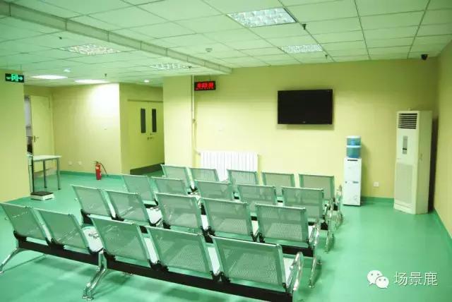 手的名词和动词,手的动词搭配