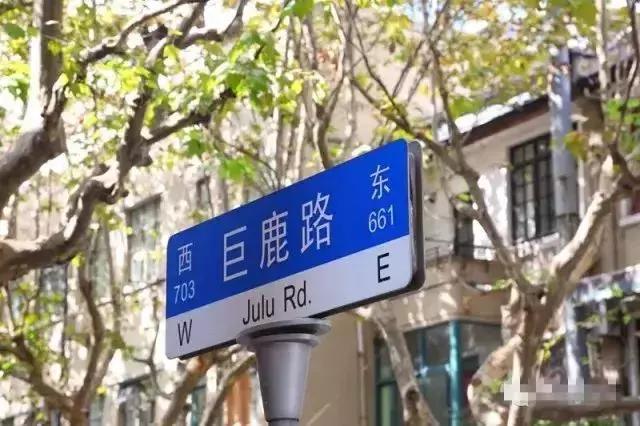 秋日魔都,秋日的上海街头