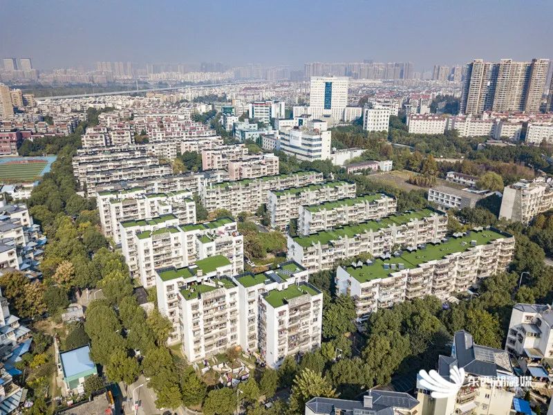 啧啧啧~常青花园,幸福的味道!