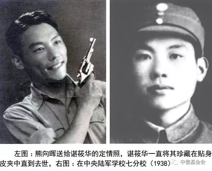 电视剧熊向晖提供的绝密情报,熊向晖特工电影