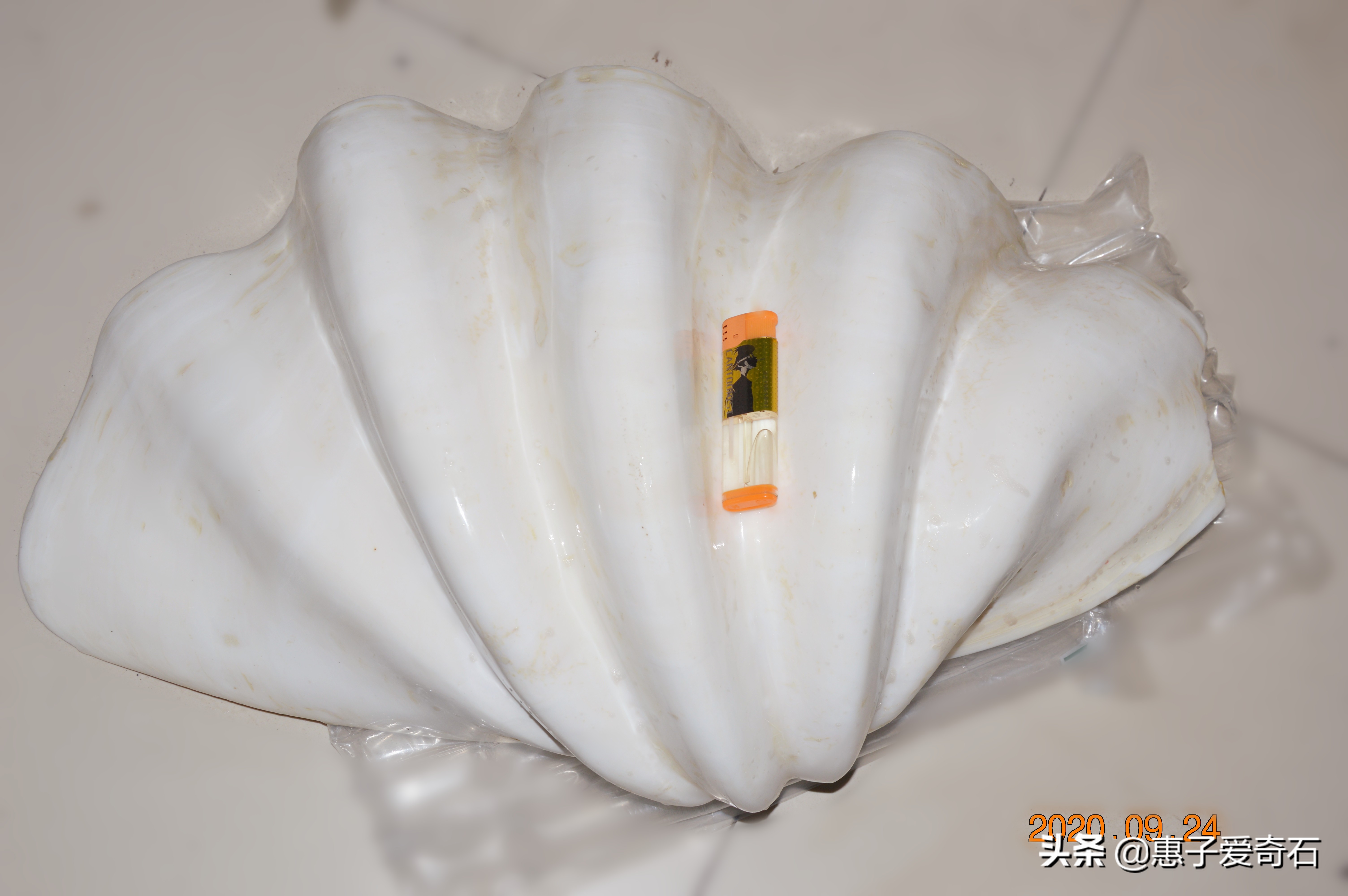 台湾顶级珍稀奇石,顶级玉石奇石