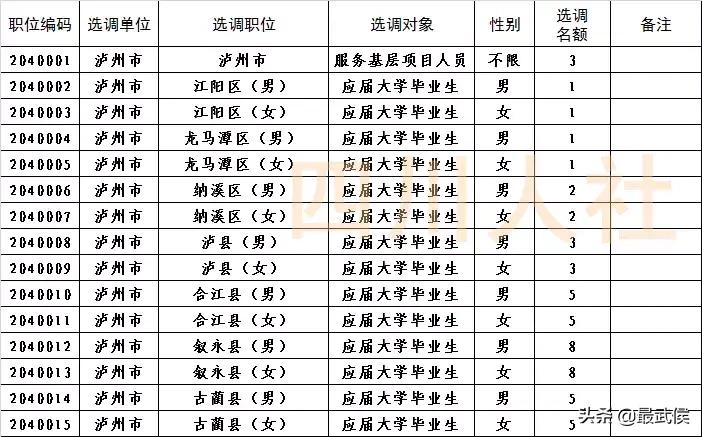 四川选调生2024选调公告官网,四川选调生2024选调公告名额
