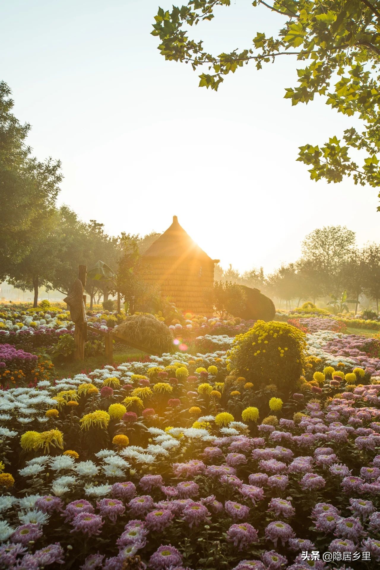 亲子京郊游红叶,国庆去北京看红叶攻略
