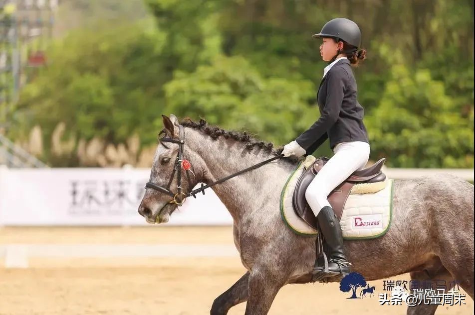 深圳海边骑马地点推荐,深圳骑马最佳地点