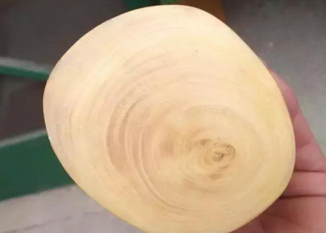 柴木是什么树种,柴木是什么