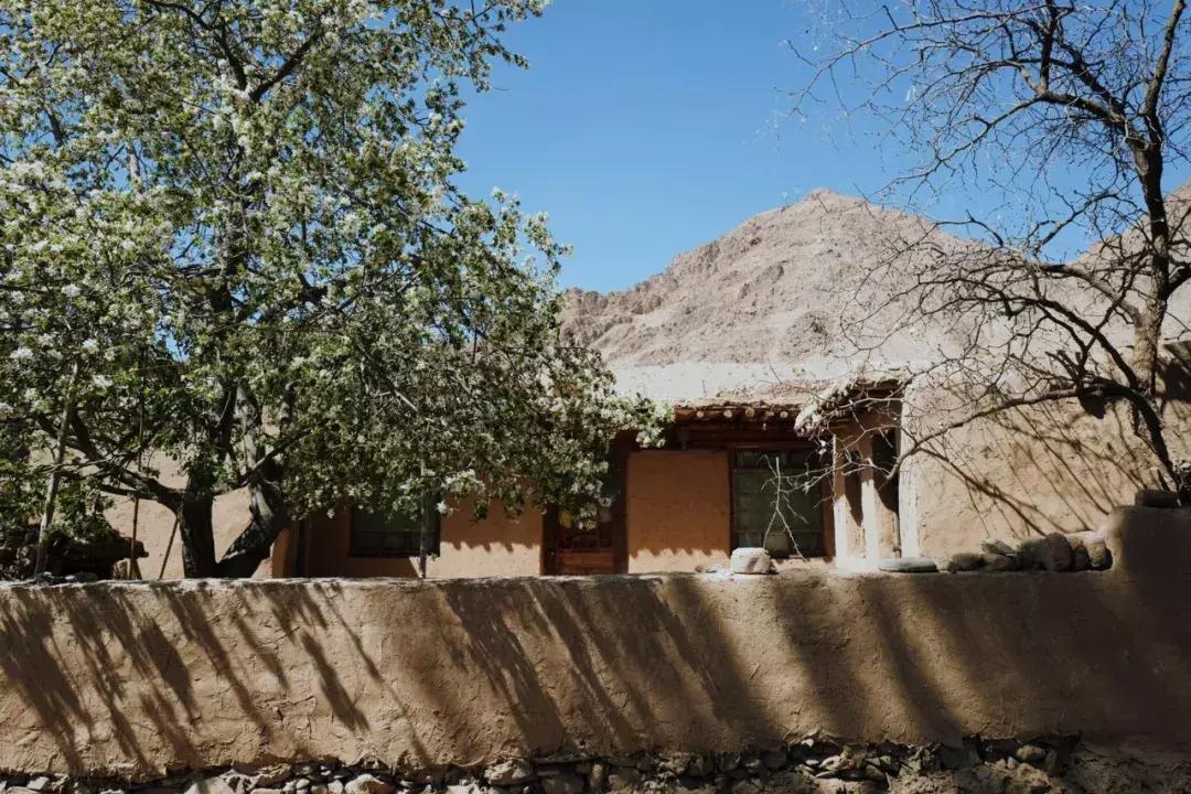 机票490飞往黄河过大年，主人请吃年夜饭，9项新年活动免费送