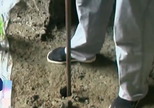 古墓宝藏之谜,墓室之谜完整版