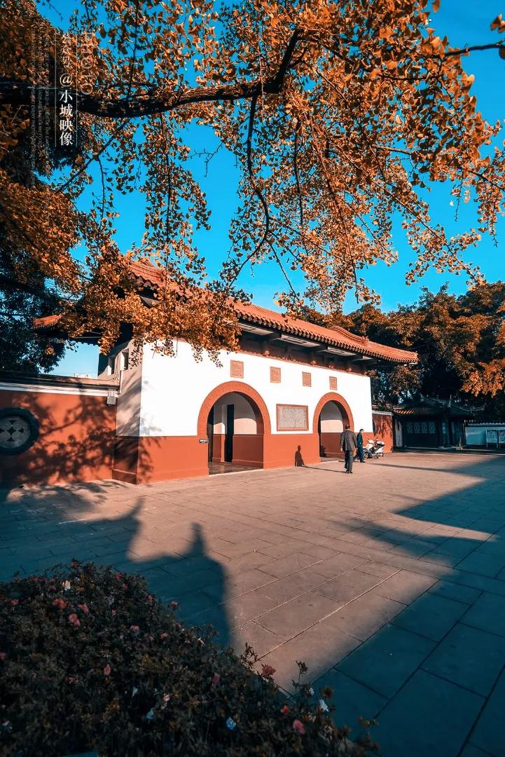 郫县是怎么发展起来的,郫县区为什么这么出名