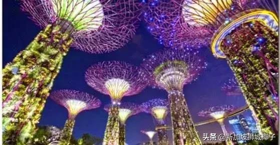 新加坡在家做的兼职有哪些,在新加坡怎么找兼职工作