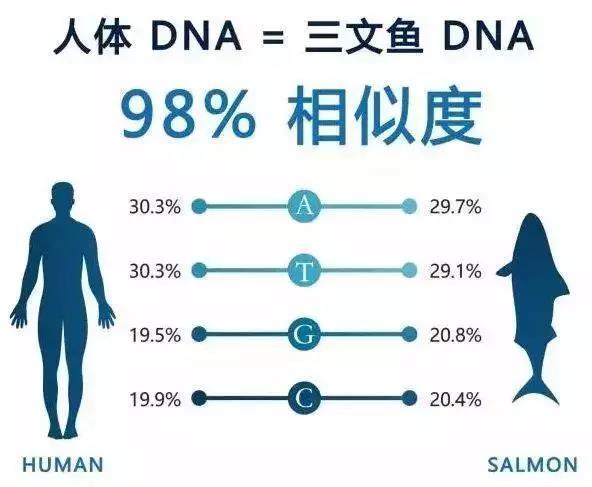 美容行业的婴儿针是什么,婴儿针美容产品