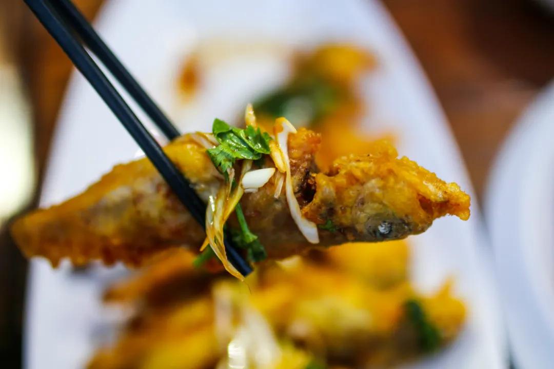 住进超梦幻玻璃星球，体验“全国最有文化特色必睡民宿”，还有网红露营地等你来！