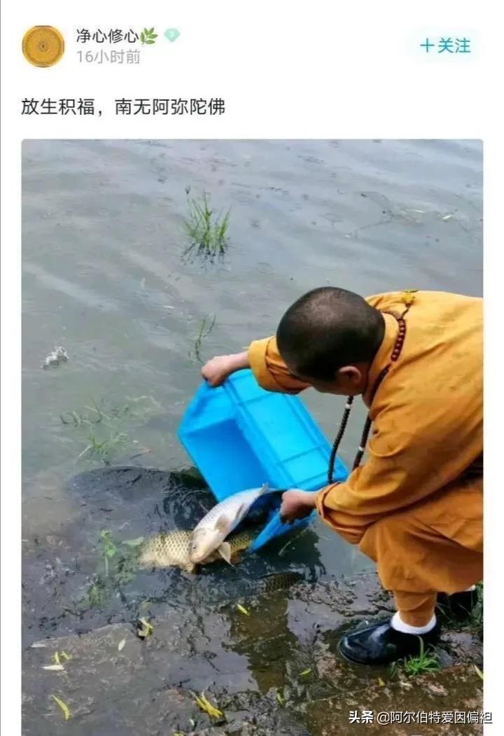 鐤媯鎶ュ鎼炵瑧娈靛瓙,鎼炵瑧娈靛瓙閬囧埌鍧忎汉璁板緱鍙嶅嚮