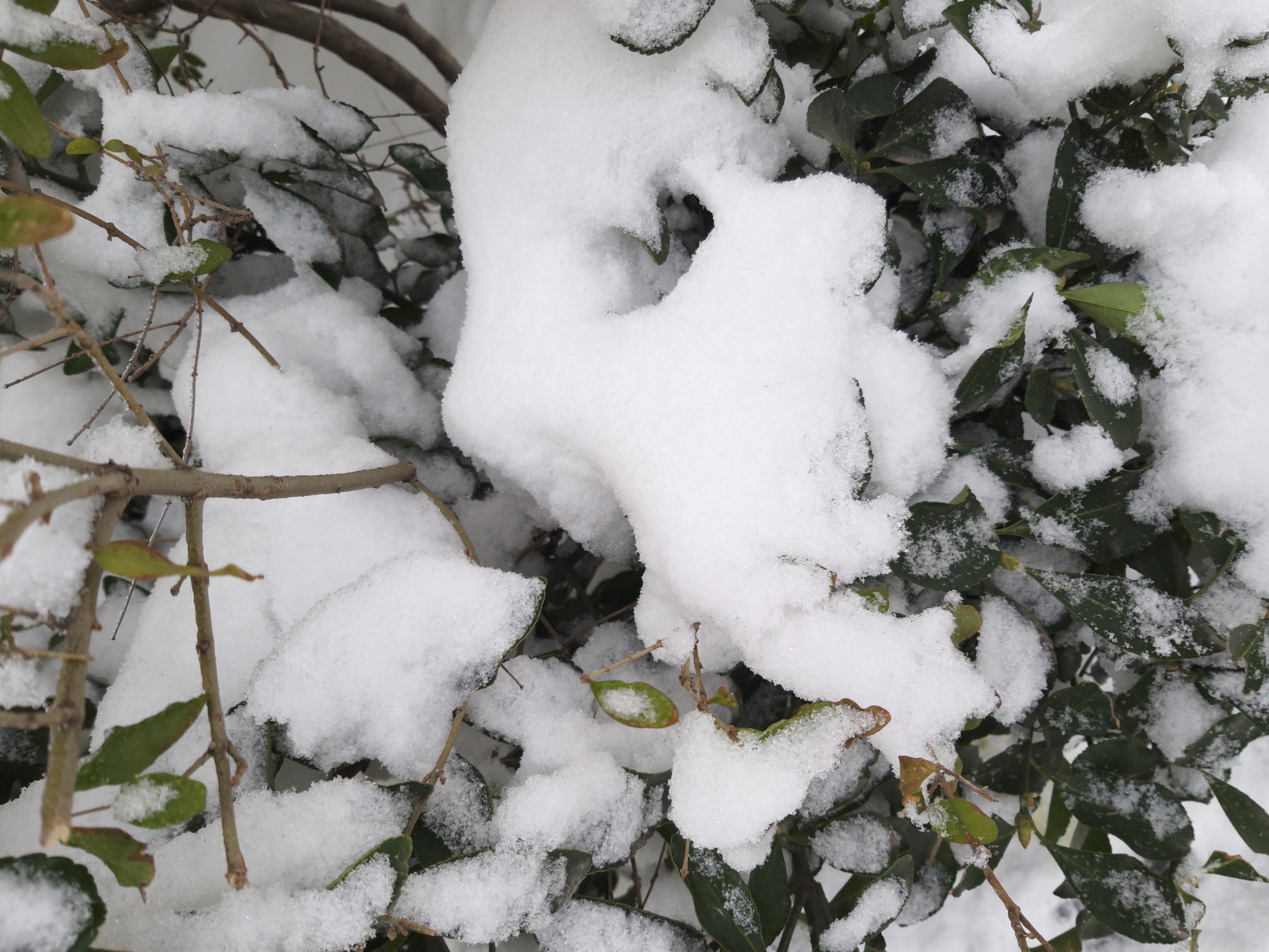 galaxya8s全面评测,三星a8s深度体验