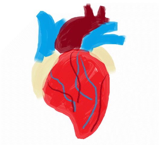 阿姨胸口闷，心脏咚咚跳得厉害！患上让中风风险增加5倍的房颤？