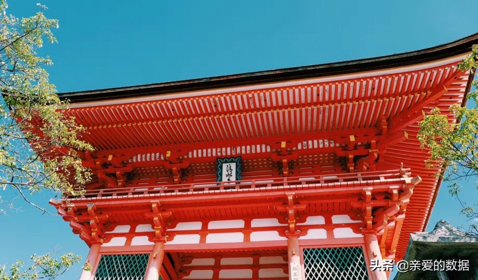 豌豆公主日本购物平台,豌豆公主日本代购官网