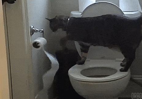 左撇子聪明还是右撇子聪明,左撇子的聪明还是右撇子的聪明