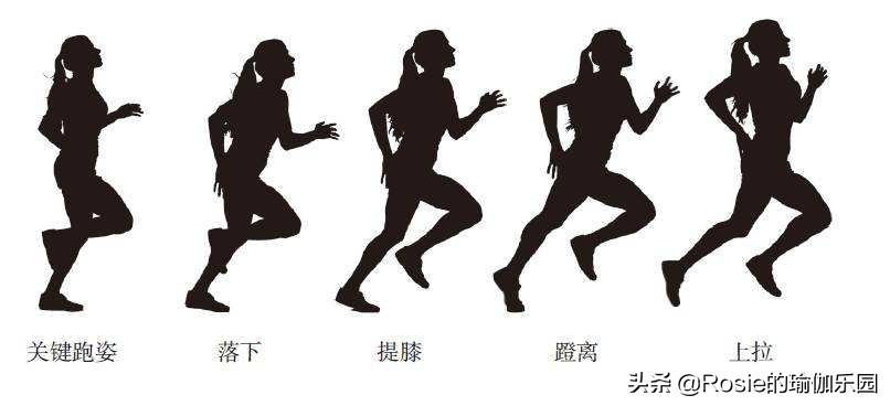 跑步减肥停止后一般会反弹几斤,跑步减肥停了十天复跑会胖么