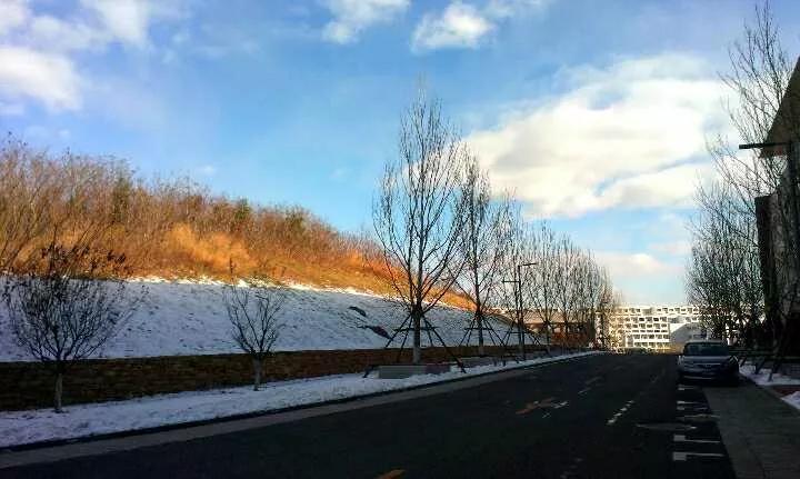 辽宁省高校（三十一）大连医科大学