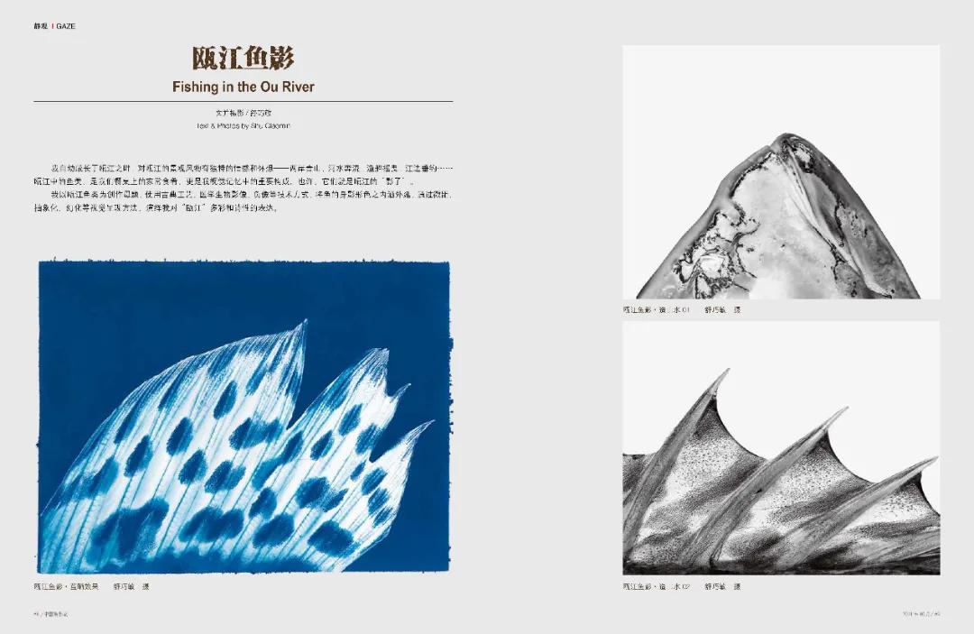 中国摄影家全集,中国摄影周刊第12期