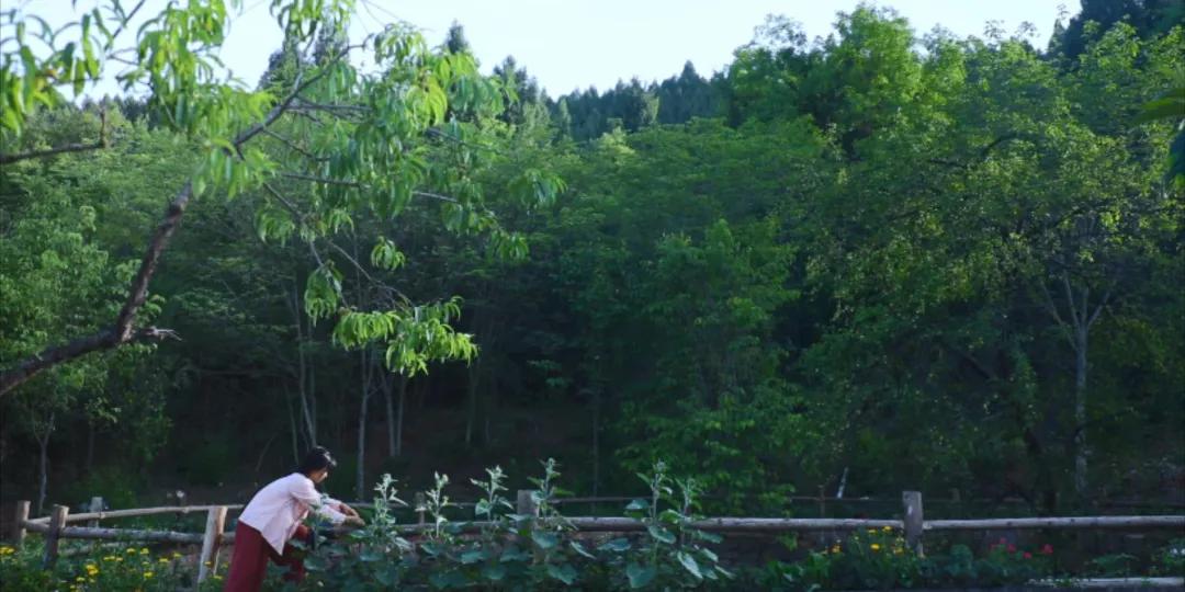 番茄锅酸甜番茄,超浓郁的番茄火锅吃一次就爱上了