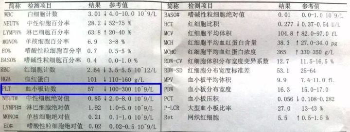 红点消失后皮肤变成褐色,红点出现又消失