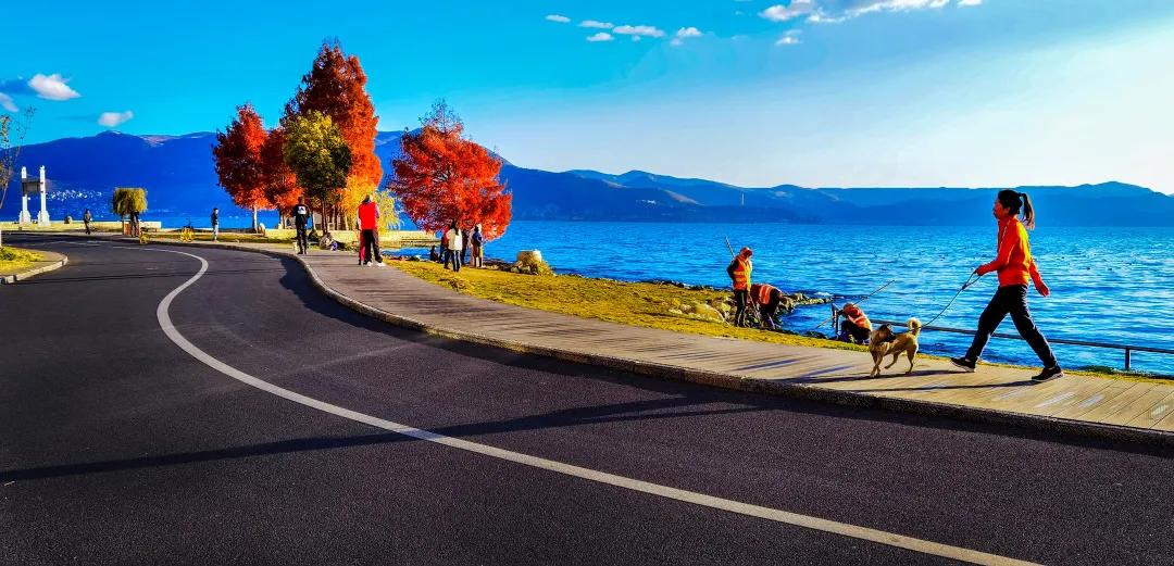 2023平遥国际摄影节获奖摄影作品,2009大理摄影展获奖作品