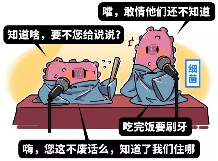 人体牙齿在哪个年龄段最坚硬,人体最坚硬的部位是骨骼还是牙齿