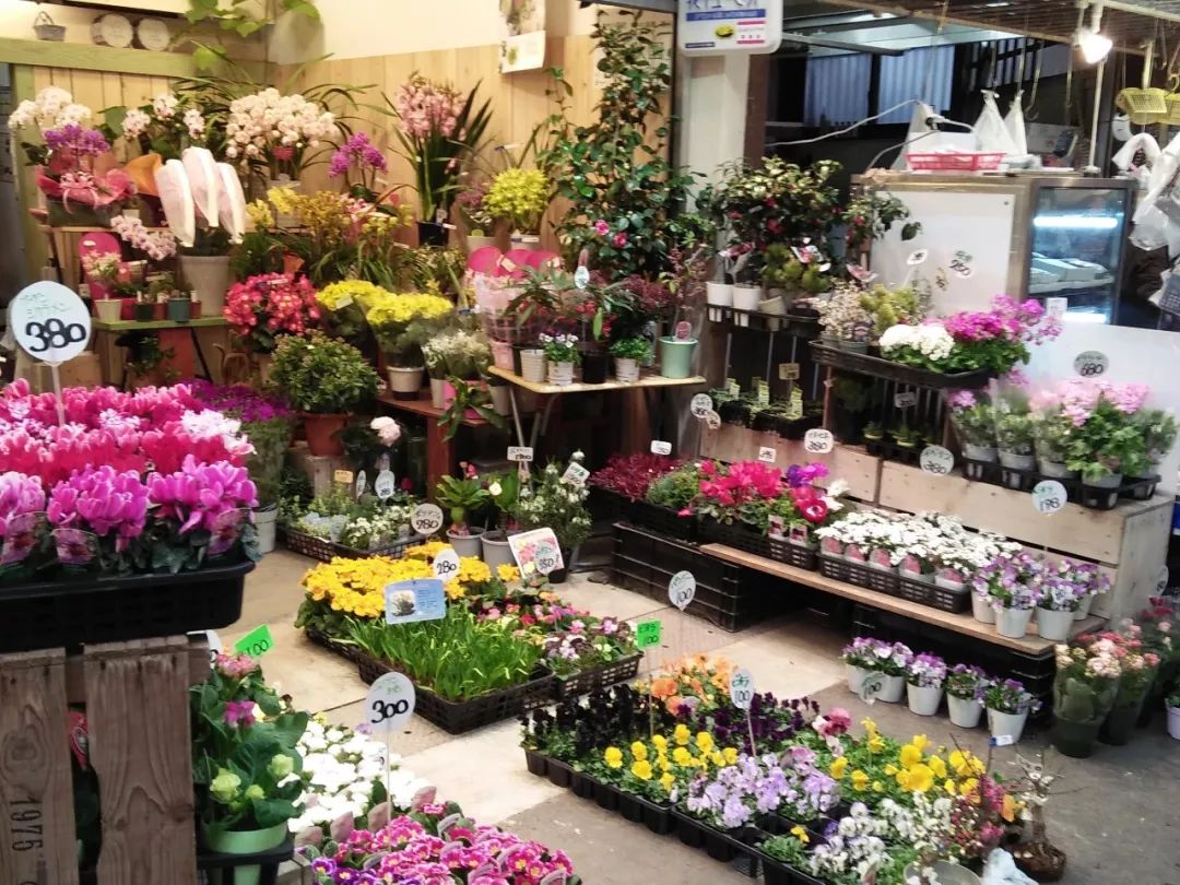 花店之旅,日本花店的真实感受