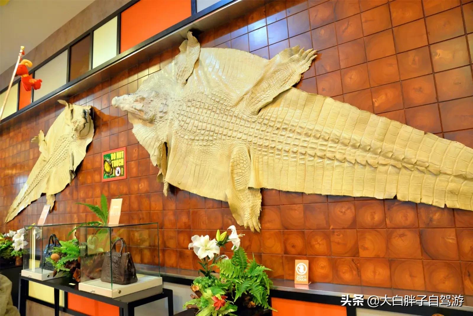 泰国风情之旅完整版小说,泰国风情十日游