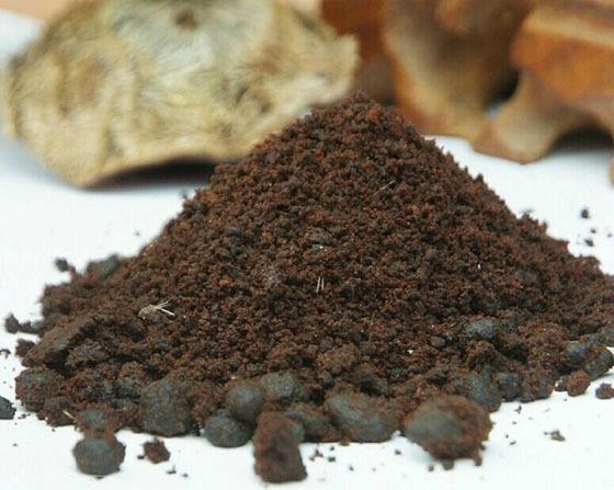 麝香诱鱼真的那么厉害么,红虫和麝香哪个诱鱼效果好点