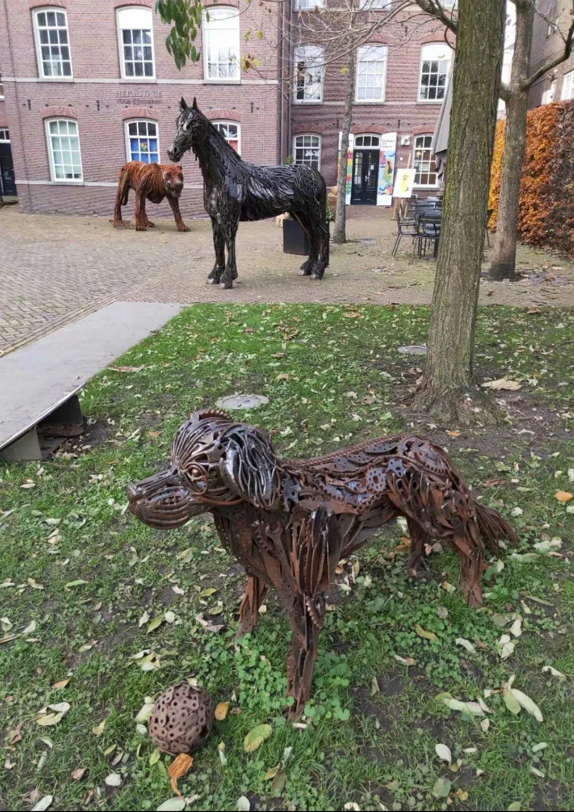 第一天去荷兰旅行,到荷兰的第一天