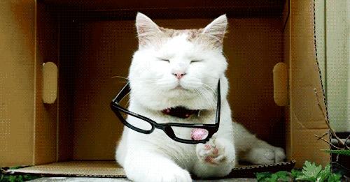 两只眼睛只有一只近视,一个眼睛近视了不戴眼镜会怎么样