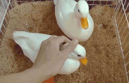 大家都在用什么解压方法,一个很神奇的解压方式