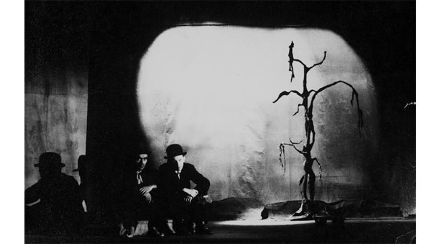 生活在树上作者,与树上的作者对话