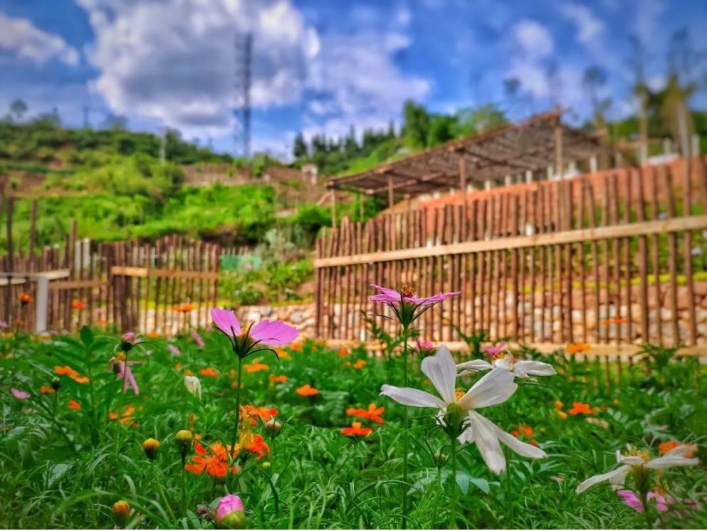 成都小巴厘岛地址,小巴厘岛成都