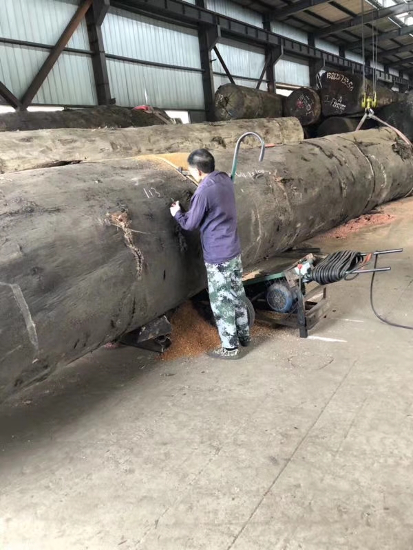 唐山高人198天打造30吨树王，成品惊艳，专家出价28万不卖