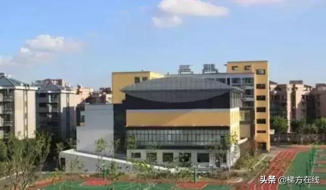 上海小学到高中的学校排名,上海最好的小学排名前十