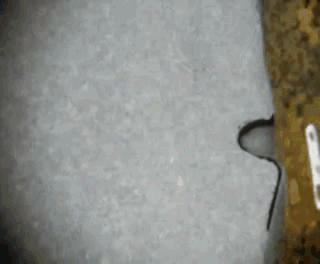 脊髓损伤将不再是不治之症,脊髓损伤手不能动能治愈吗