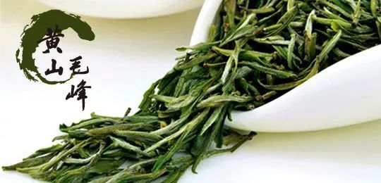 绿茶的冲泡方法和品鉴图片,绿茶冲泡讲解方法图文版