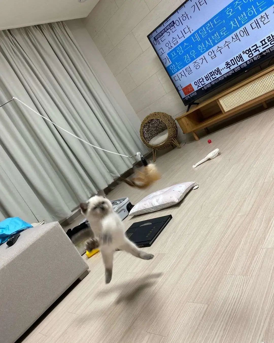 煤老板爆红完整版,煤老板ins