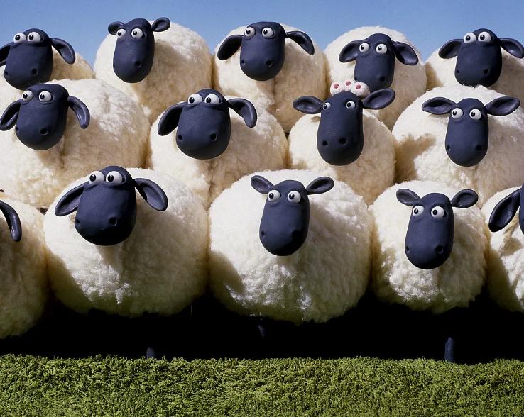 小羊和肖恩关系,小羊肖恩和牧羊犬是什么人