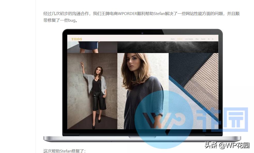 wordpress建站后怎么做引流,wordpressseo选项