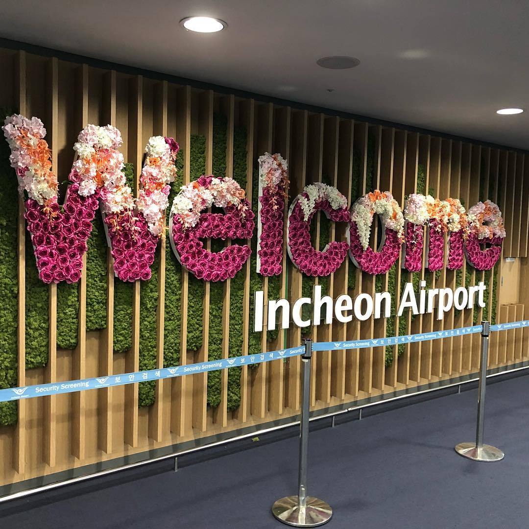 免税店必买好物清单,去免税店买什么好物好