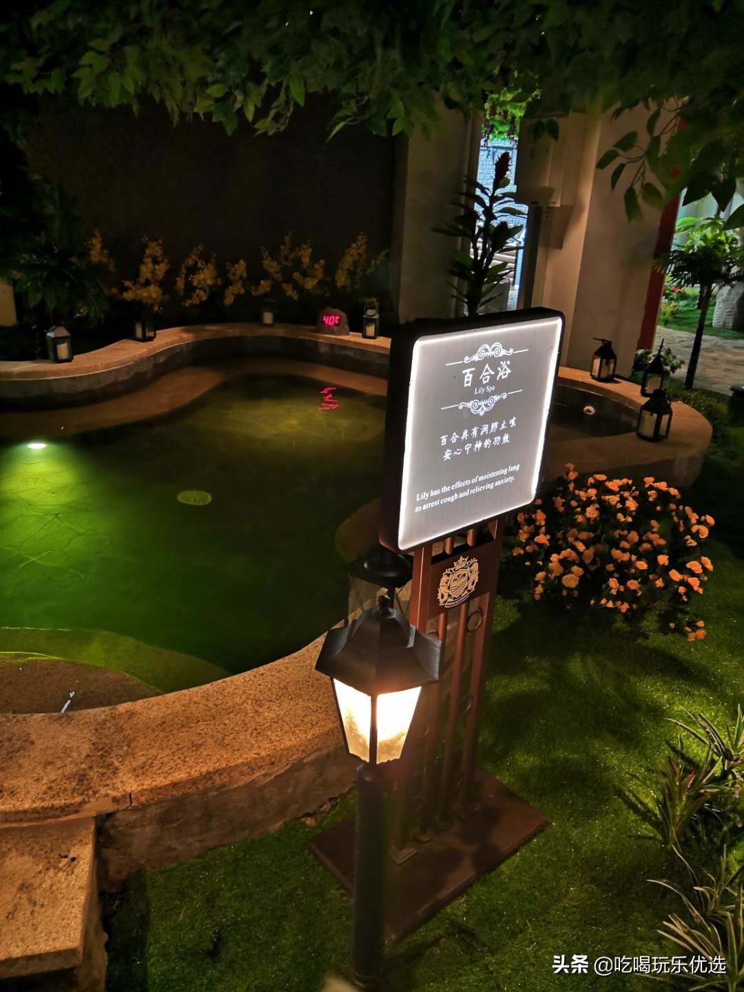 天津仁爱团泊湖温泉夏天,天津热带雨林主题温泉