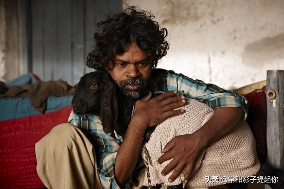 史上最好看的印度电影top10,推荐十部口碑炸裂的印度电影